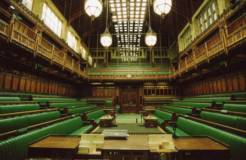 Green benches in the House of Commons