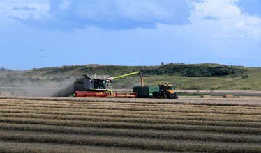 Harvest